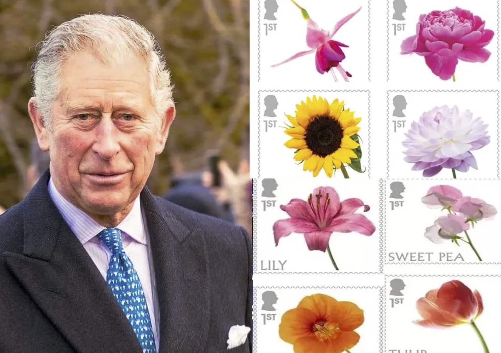 King Charles’s gardening passion reflected on new Royal Mail stamps