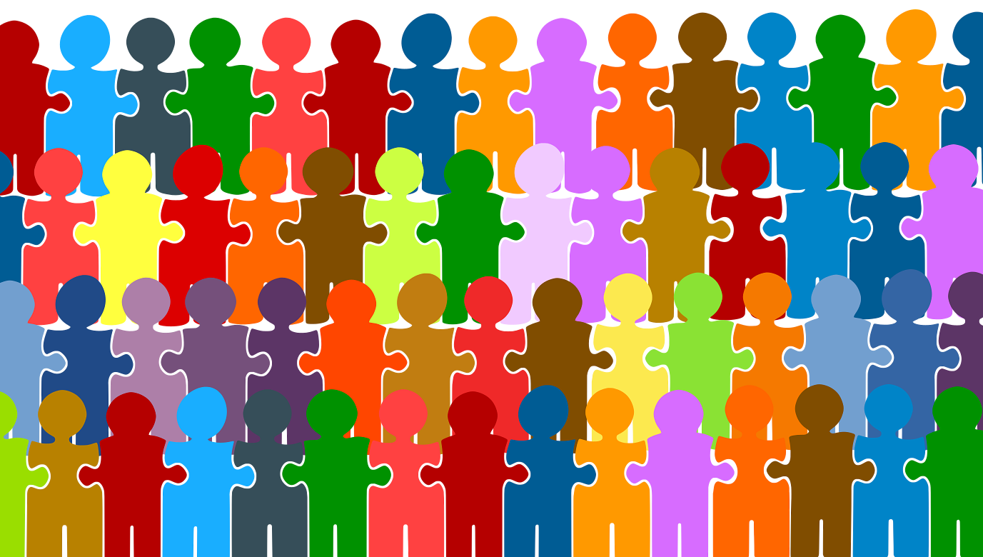 Self Classify Should staff be fired for refusing to self-classify by race, IRR asks ...