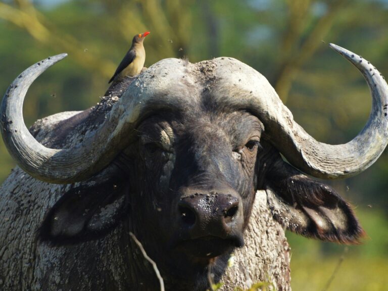 Sorry! Image not available at this time