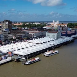 In No Uncertain Terms