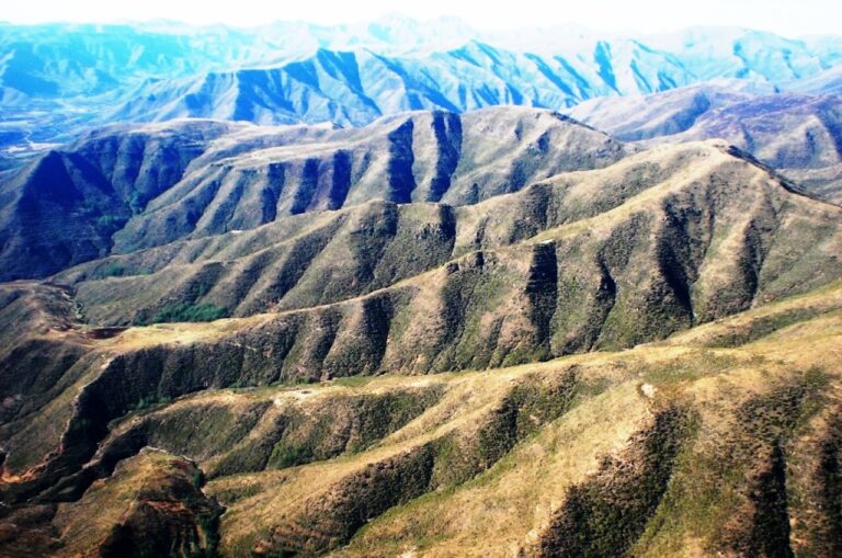 Sorry! Image not available at this time