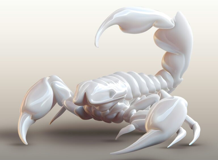 Sorry! Image not available at this time