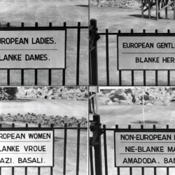 In No Uncertain Terms