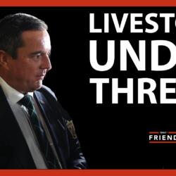 In No Uncertain Terms