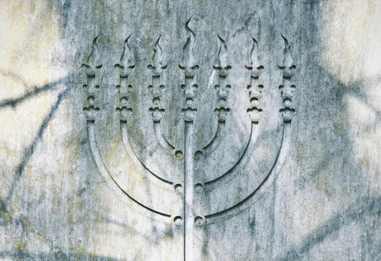 Sorry! Image not available at this time