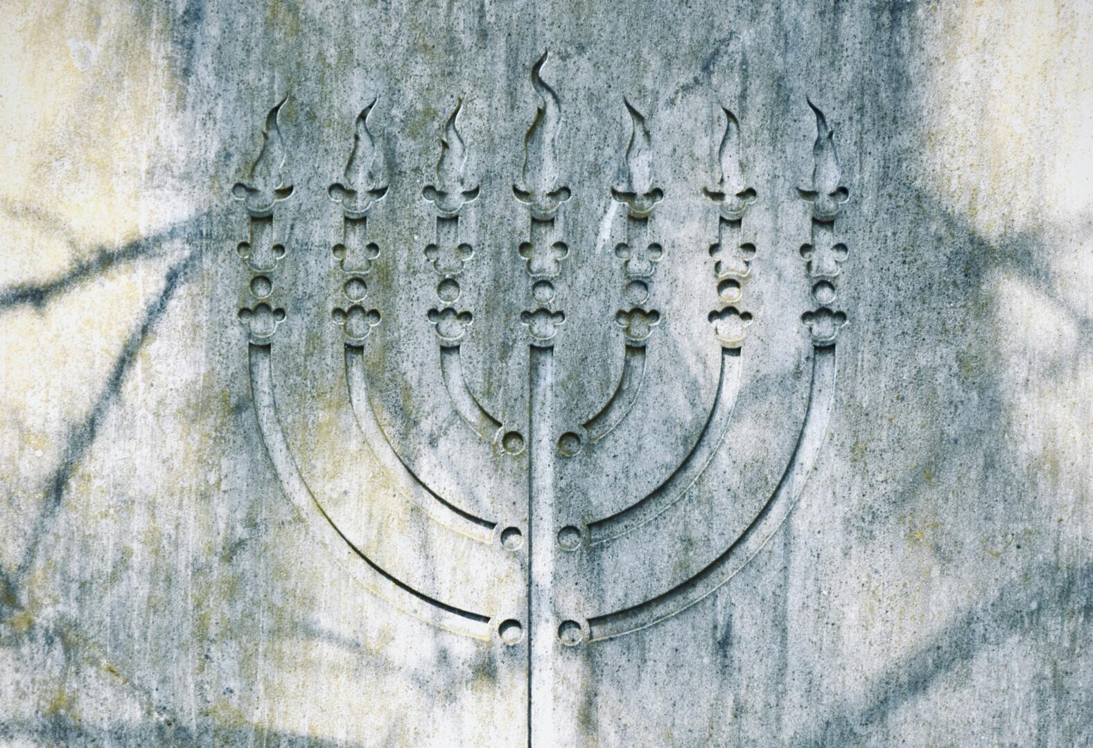 The subversive haters - Daily Friend