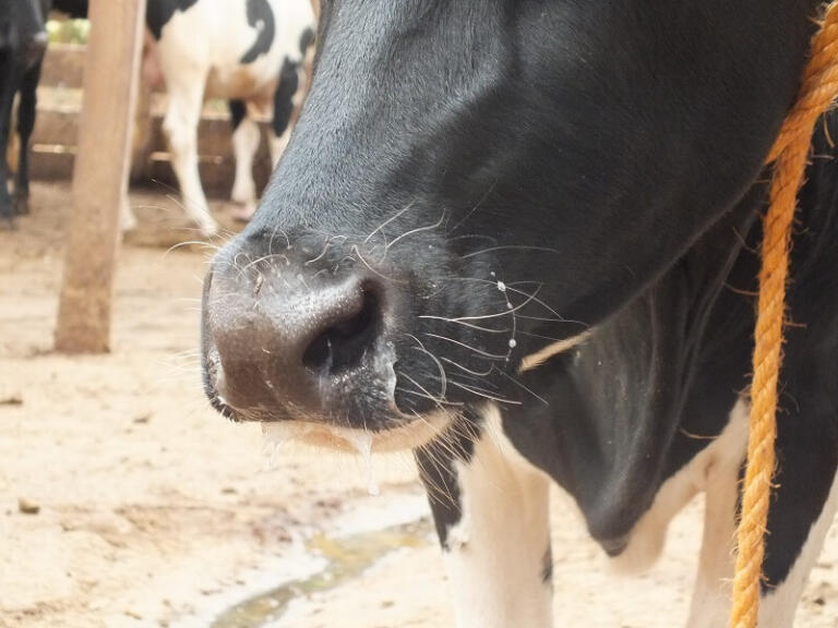 Sorry! Image not available at this time