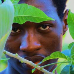 In No Uncertain Terms