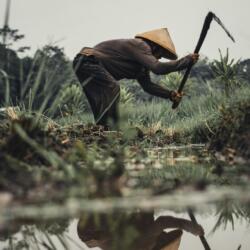 In No Uncertain Terms