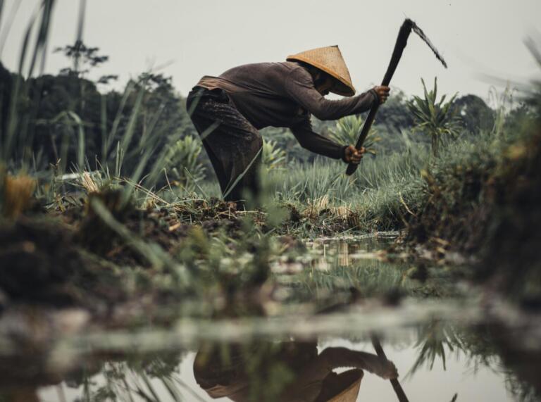 Sorry! Image not available at this time