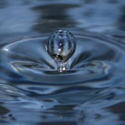 In No Uncertain Terms