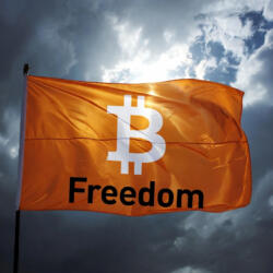 In No Uncertain Terms