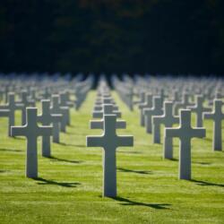 In No Uncertain Terms