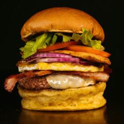 In No Uncertain Terms