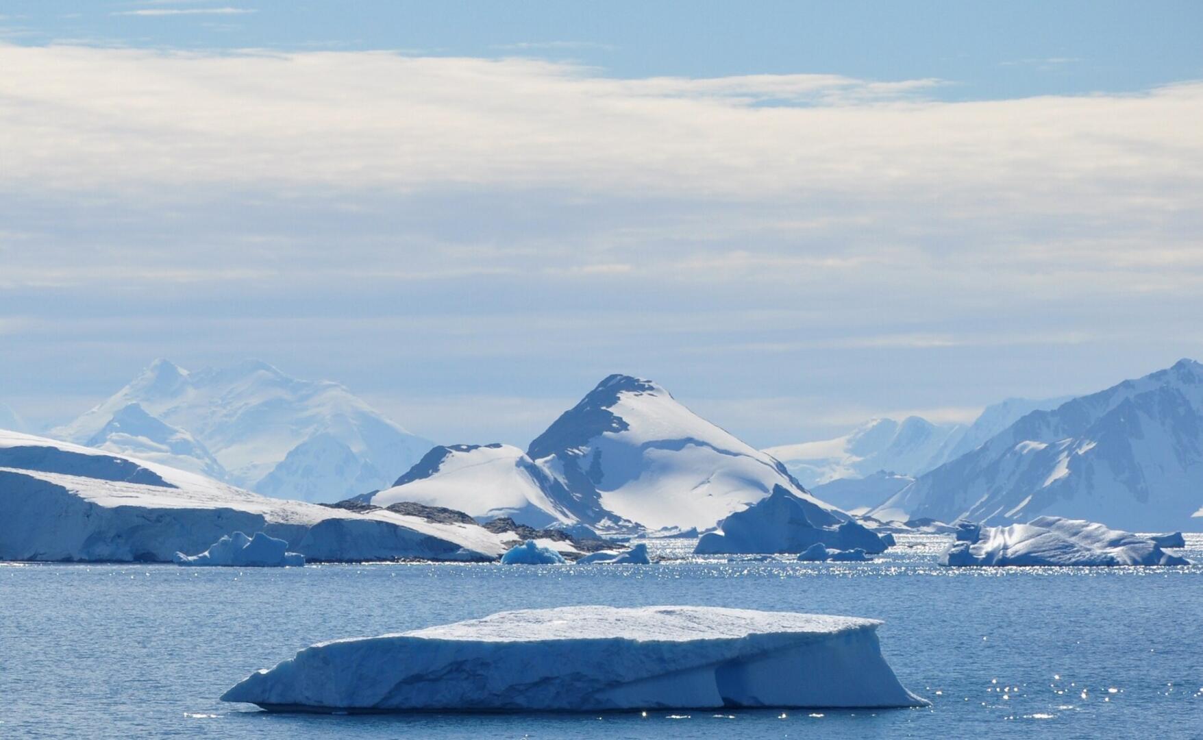 The Real Trade Secret: Wildlife Conservation Is More Complex Than Activist Admits